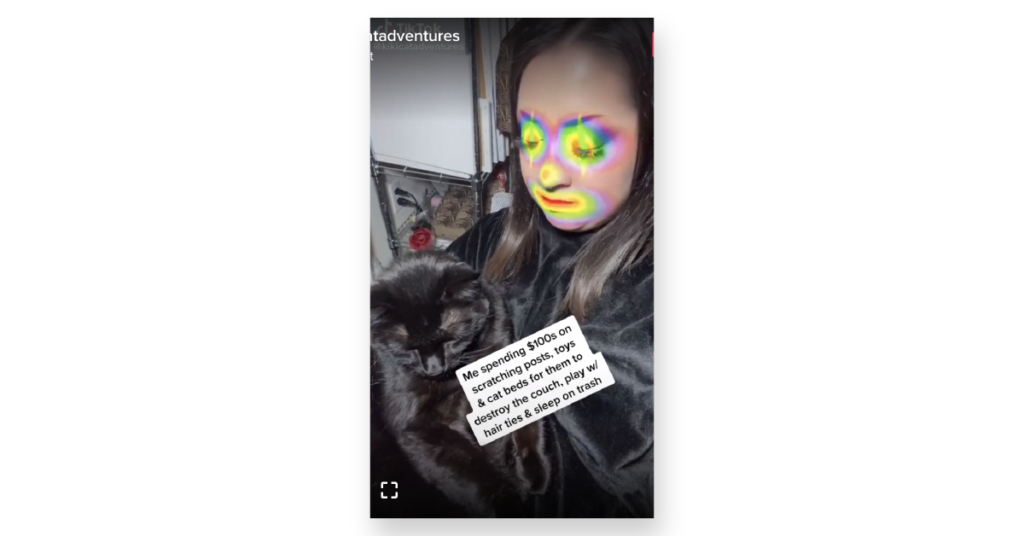Woman with clown makeup holding cat 